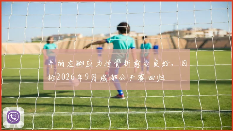 辛纳左脚应力性骨折愈合良好,目标2026年9月成都公开赛回归